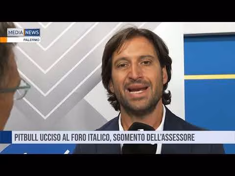 Medianews del 21 08 2024 Prima edizione