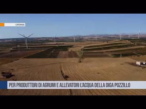 Per produttori di agrumi e allevatori l'acqua della diga Pozzillo