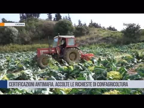 Catania. Certificazioni antimafia