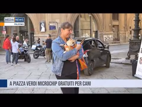 Medianews del 25 09 2024 Prima edizione