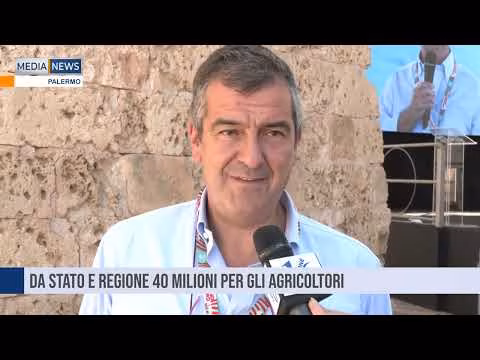 Medianews del 30 08 2024 Seconda edizione