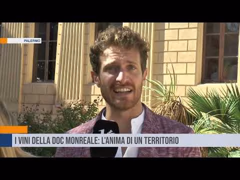 I vini della Doc Monreale: l'anima di un territorio