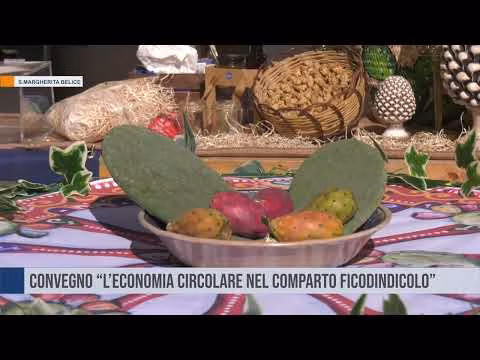 Santa Margherita del Belice