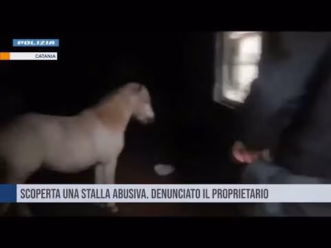 Catania. Scoperta una stalla abusiva