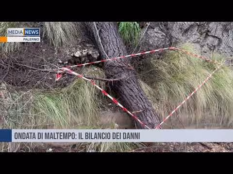 Medianews del 18 01 2025 Seconda edizione