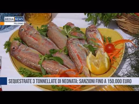 Medianews del 25 03 2025 Prima edizione