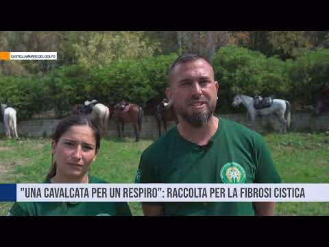 Castellammare del Golfo