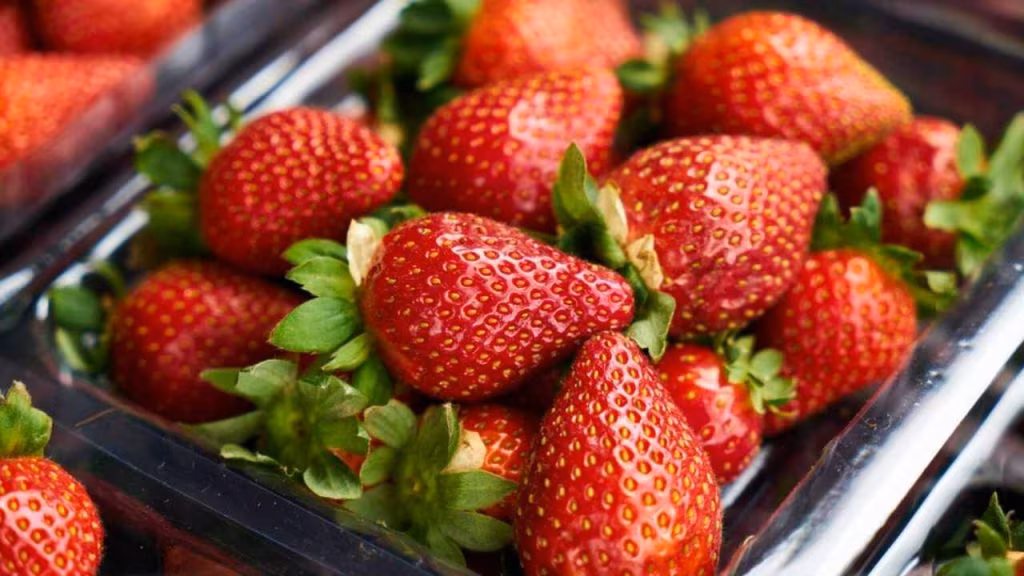 fragole (foto frosinonenews) - mediaoneoneline.it