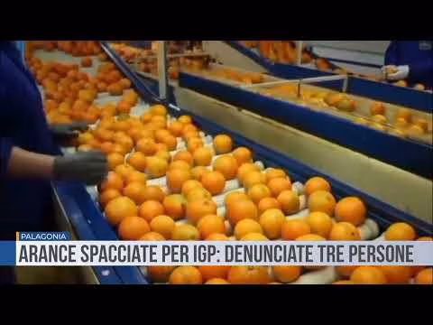 Palagonia. Arance spacciate per I.G.P