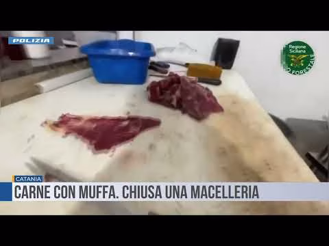 Catania. Carne con muffa