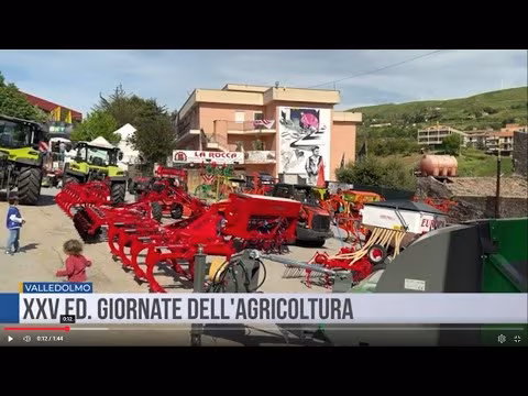 Valledolmo. XXV ed