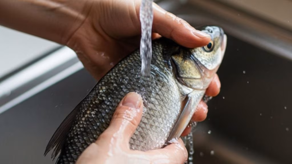 Pesce in cucina - foto (C) MediaoneOnline.it