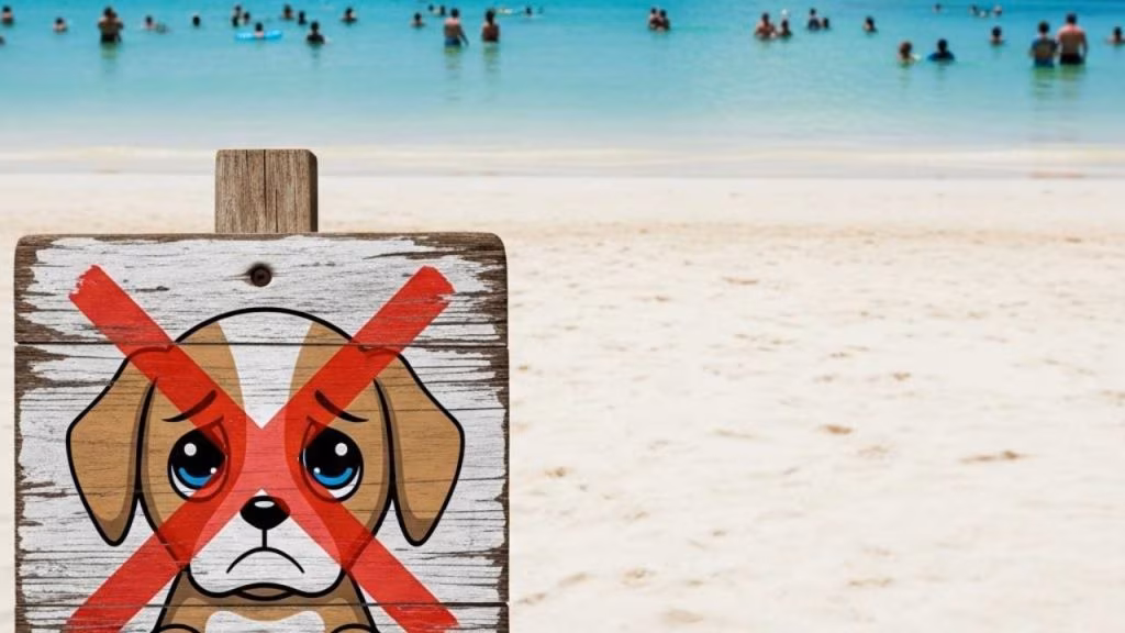 cartello divieto cani - foto (C) Mediaoneonline.it