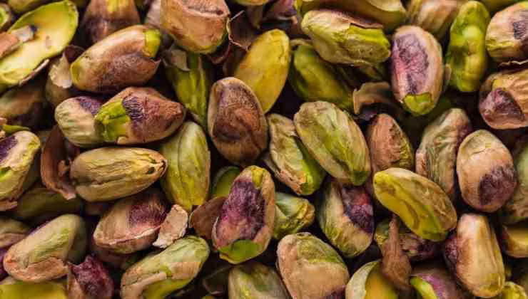 pistacchi - foto archivio mediaoneonline.it (1)