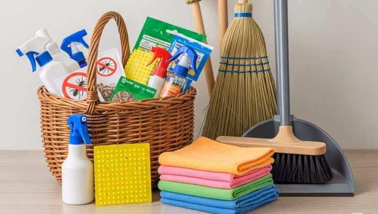 pulizia e disinfestazione - foto (C) Mediaoneonline.it