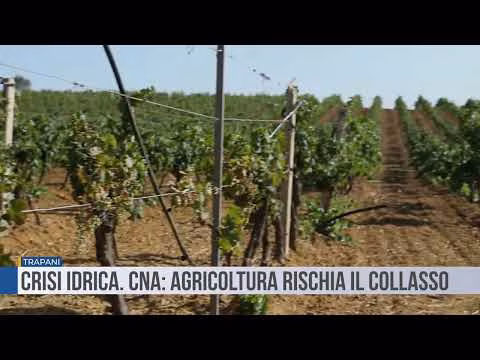 Trapani. Crisi idrica