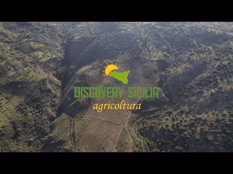 01 PUNTATA | DISCOVERY SICILIA 2025 | LO GIUDICE - PASOTTI - IRRITEC