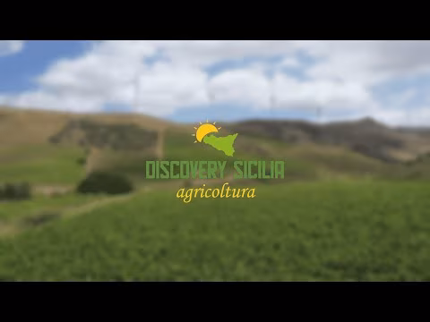 02 PUNTATA | DISCOVERY SICILIA 2025 | RAPINZERI - PRINCIPI DI SPADAFORA