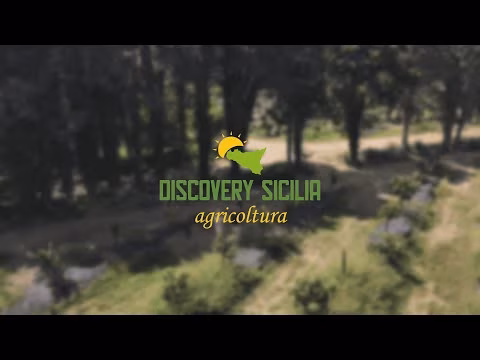 03 PUNTATA DISCOVERY SICILIA 2025 - HALAESA - BIO AGRI FUTURA