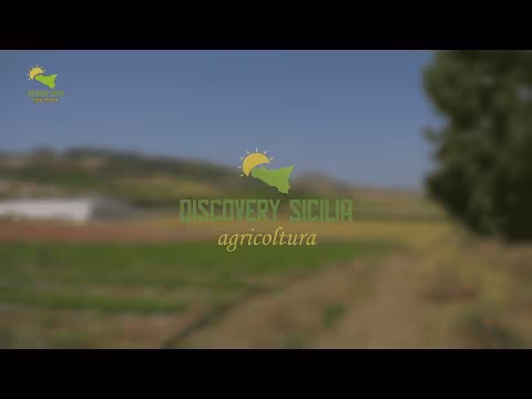 06 PUNTATA - DISCOVERY SICILIA 2025 - DI GALA - VALDIBELLA