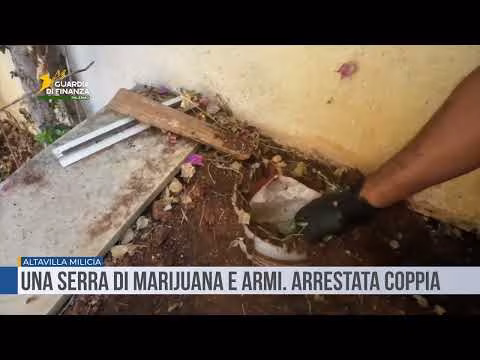 Altavilla Milicia. Una serra di marijuana e armi