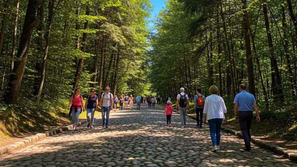 bosco turisti passeggiata -foto mediaoneonline.it