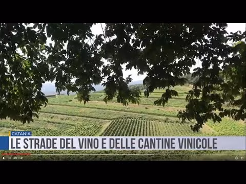 Le Strade del Vino e delle Cantine Vinicole in Sicilia