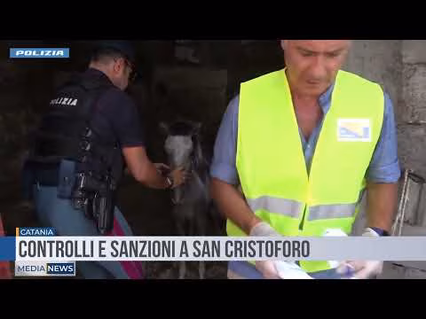 Medianews del 15 09 2025 seconda edizione