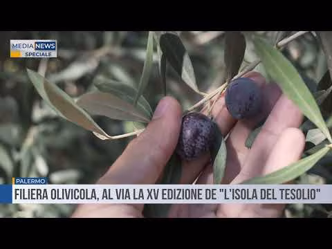 Speciale MediaNews - Palermo, al via L’isola del Tesolio