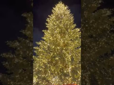 Acceso l'albero di Natale al Politeama a Palermo đ