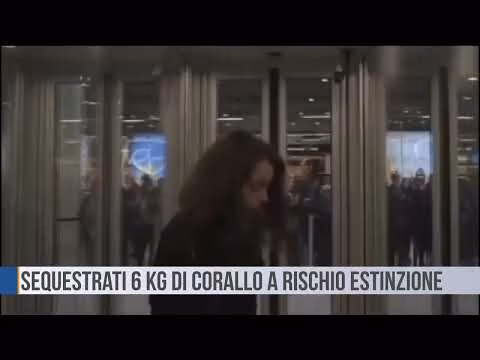 Catania: sequestrati 6 kg di corallo a rischio estinzione