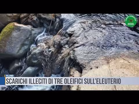 Palermo: Scarichi illeciti di tre oleifici sull’Eleuterio
