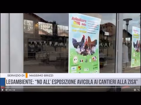 Palermo: Legambiente: “NO all’ esposizione avicola ai Cantieri alla Zisa”