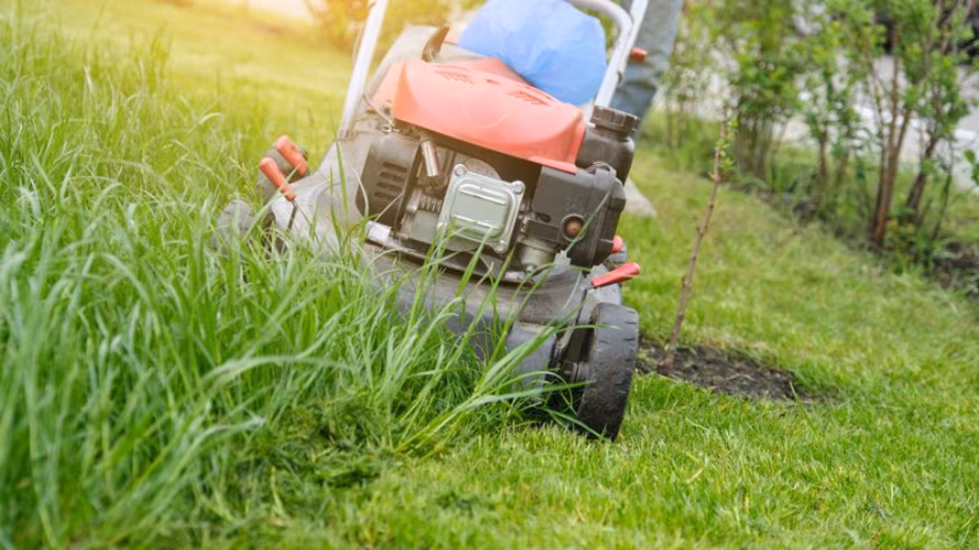 ECOLUX Patrik Anželj s.p.