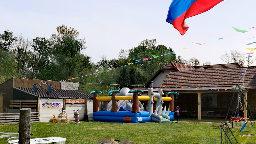 Društvo animacije in zabave za otroke