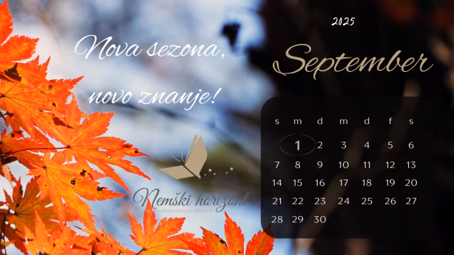 Jezikovna šola Nemški horizont, jezikovne storitve