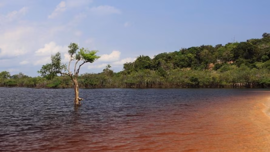 Fishoteque - akvaristika