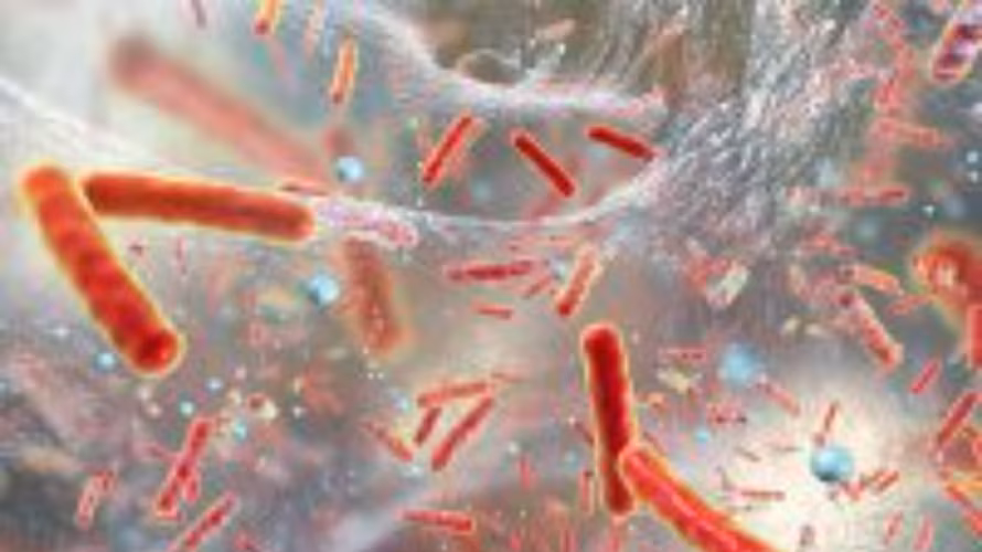 AQUAMUNDA Varovanje okolja, prihranek energije, čista pitna voda