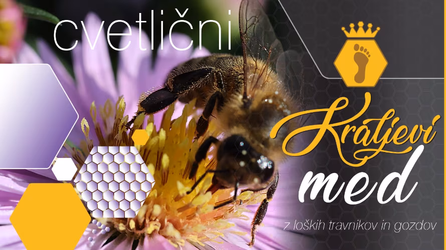 Čebelarstvo in medarstvo Glušič