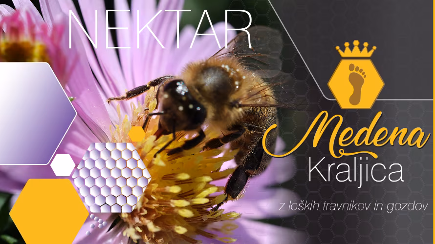 Čebelarstvo in medarstvo Glušič