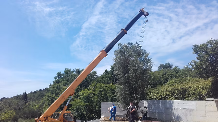 NUDIMO VRHUNSKE STORITVE AVTOPREVOZNIŠTVA TER GRADBENE MEHANIZACIJE