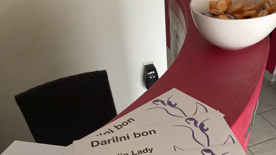 Studio Lady erotične masaže