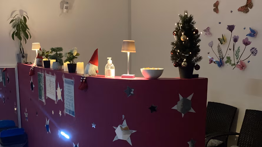 Studio Lady erotične masaže