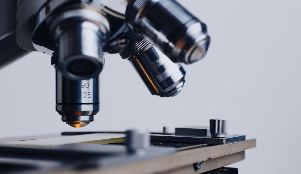 Illustrazione di un microscopio (Pixabay FOTO) - www.systemscue.it