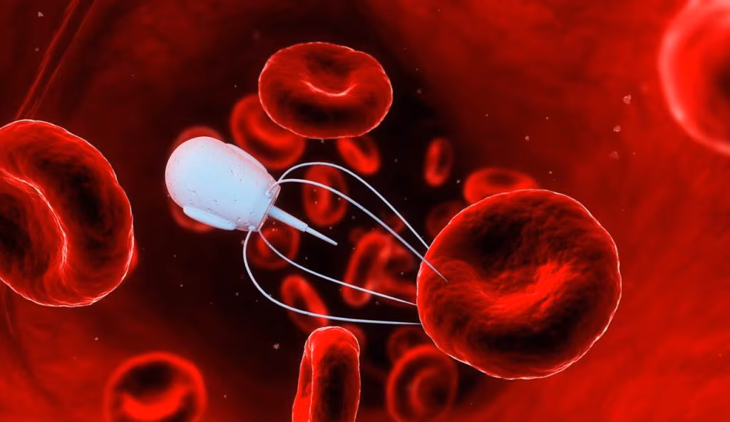 I nanorobot possono aiutarci a svolgere molteplici funzioni