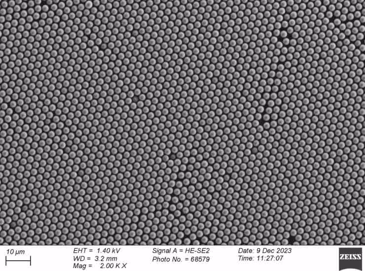 Immagine al microscopio elettronico di una superficie TENG con piccole perle (Ignaas Jimidar foto)