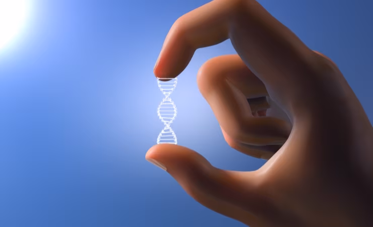 Cosa si può fare, grazie al DNA origami