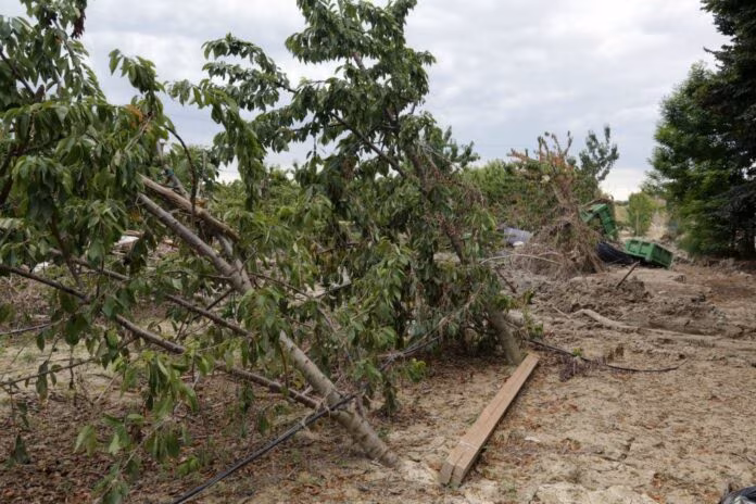 Da Unicredit sostegno ad aziende agricole Siciliane per eventi calamitosi 2023