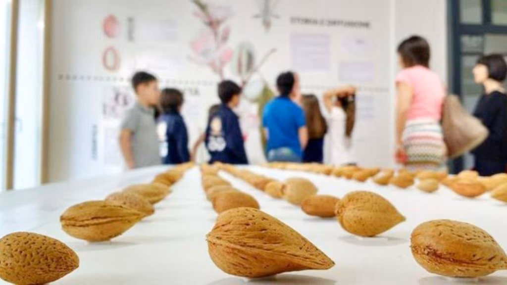 Nel museo delle mandorle siciliane (foto visitvalledeitempli) - teleone.it