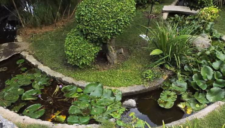 il giardino (screenshot youtube lestanzeinfiore 2) - teleone.it